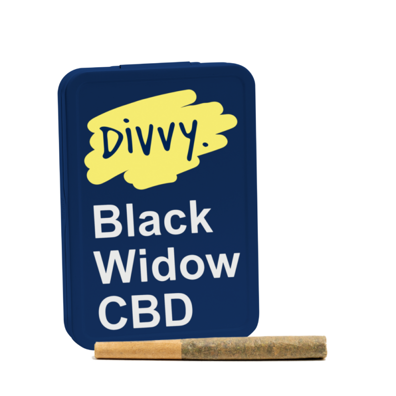 Divvy Black Widow CBD 12 x 0.35g Pre-Rolls