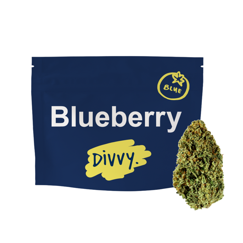 Divvy Blueberry