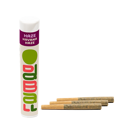 Oddball Exotics Pre-Rolls | Banana Cream
