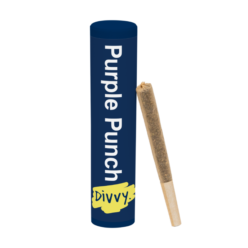 Divvy Purple Punch Infused 1 x 1g Pre-Roll