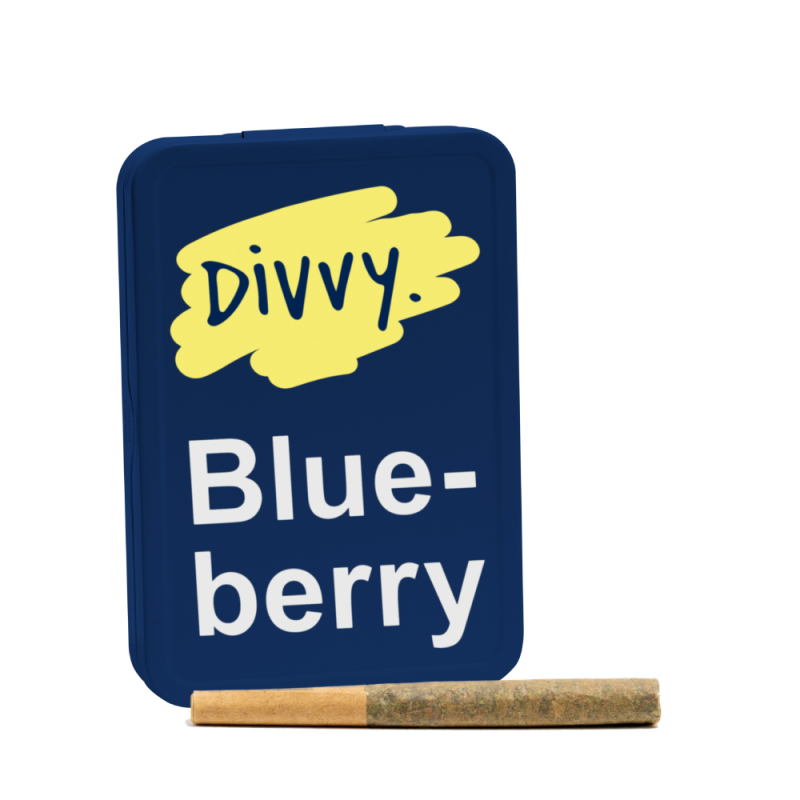 Divvy Blueberry 12×0.35g Pre-Rolls