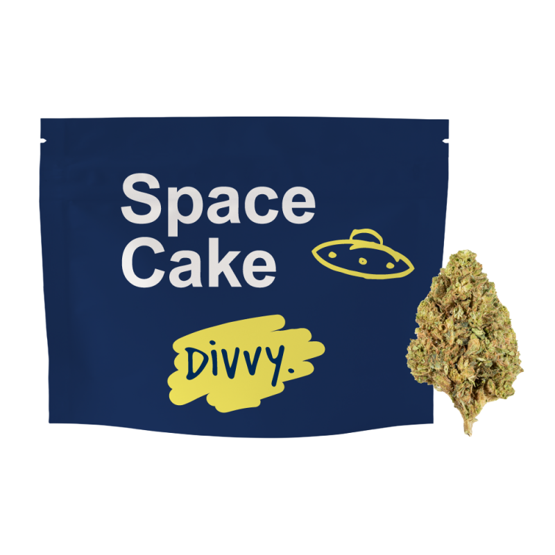 Divvy Space Cake